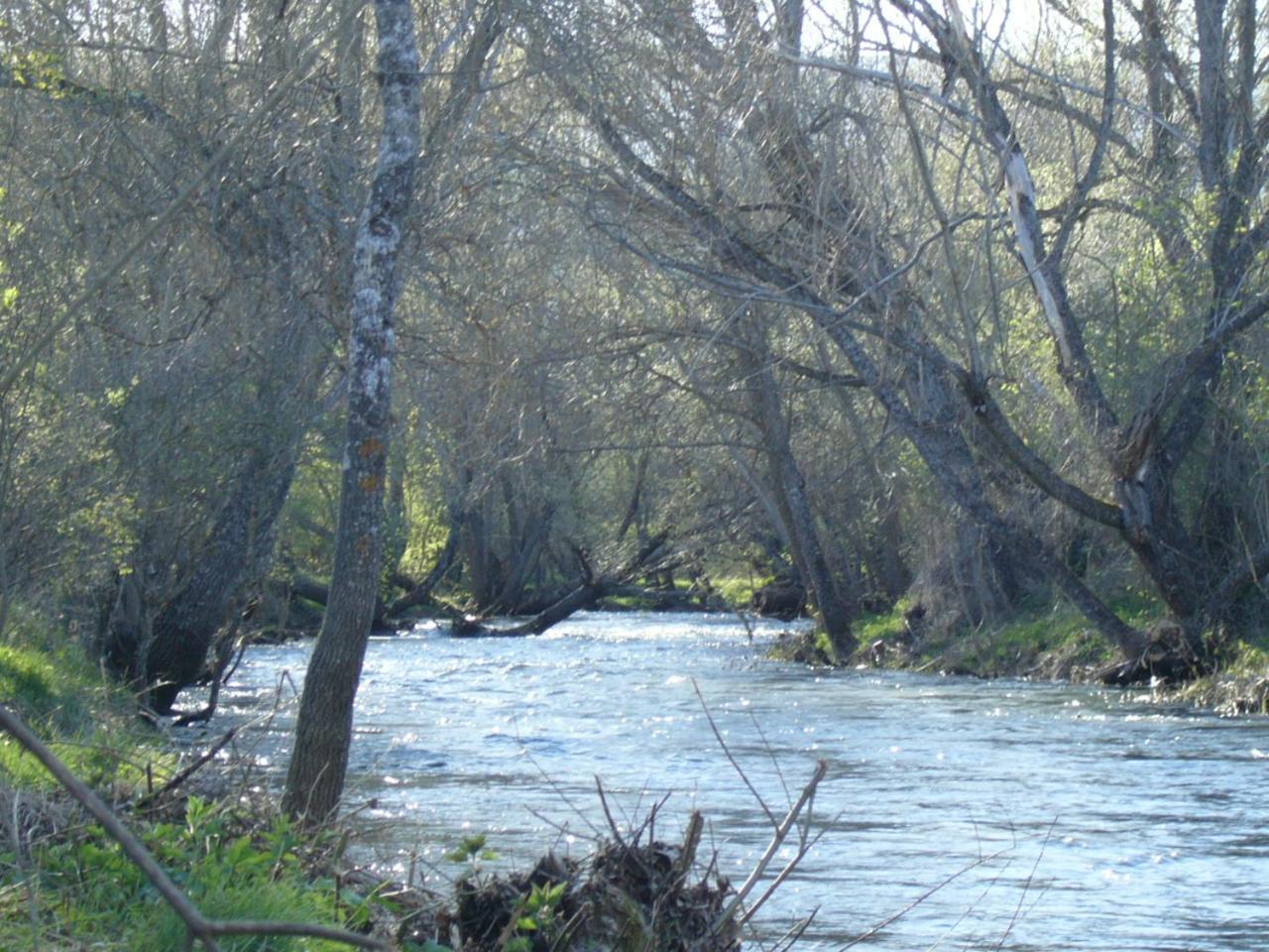 Camping De Cervera De Buitrago Kültér fotó