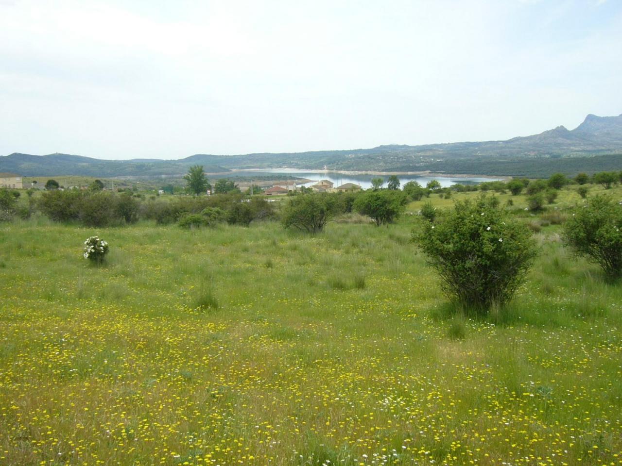 Camping De Cervera De Buitrago Kültér fotó
