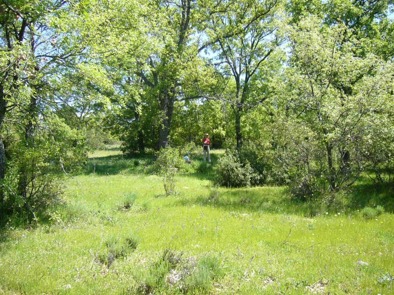 Camping De Cervera De Buitrago Kültér fotó